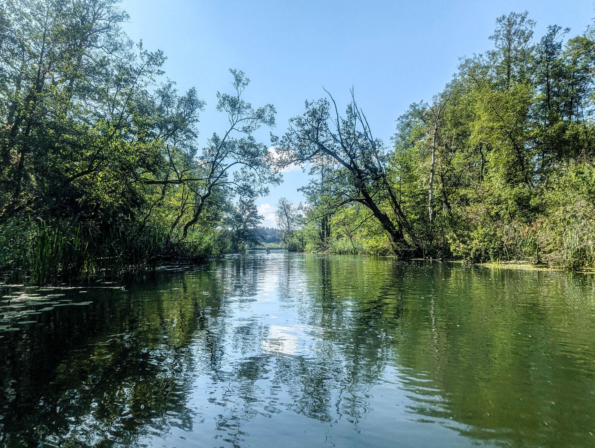 Kajaktour Leutstettner Moos 15.08.2024